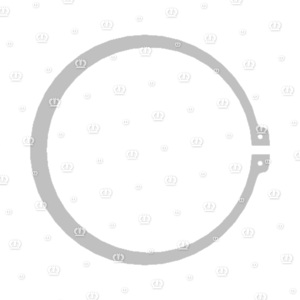SEEGERRG. A 155X4,0 471