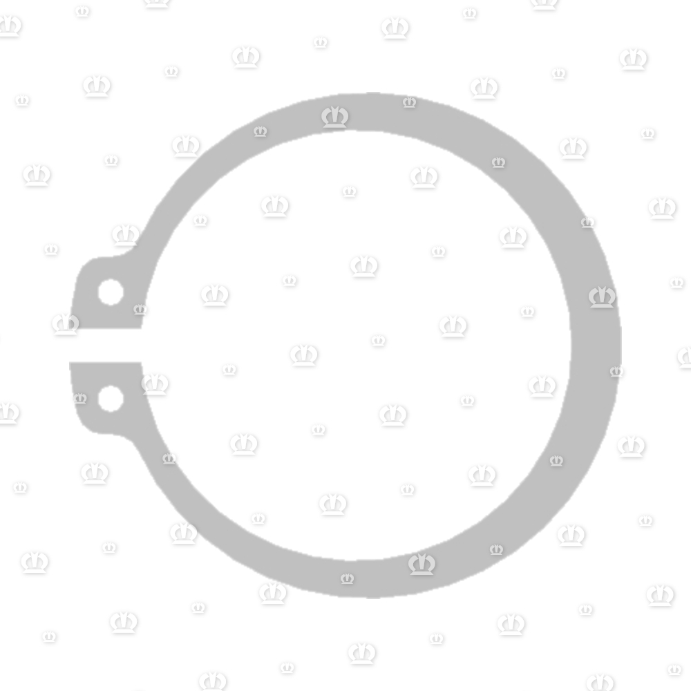 SEEGERRG. A42X1,75 471