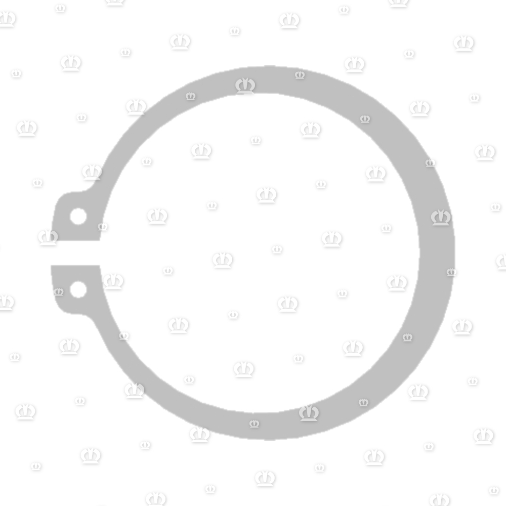 SEEGERRG. A47X1,75 471
