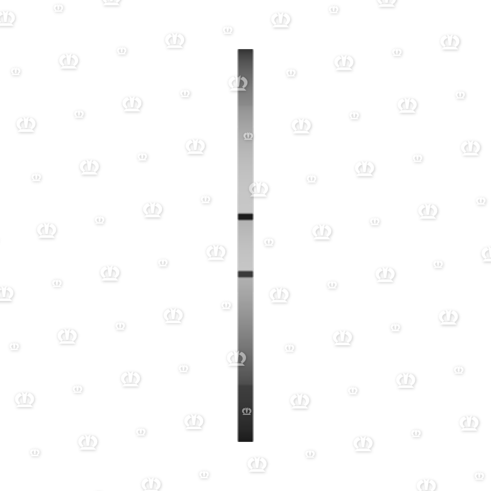 SEEGERRG. I 100X4,0 472