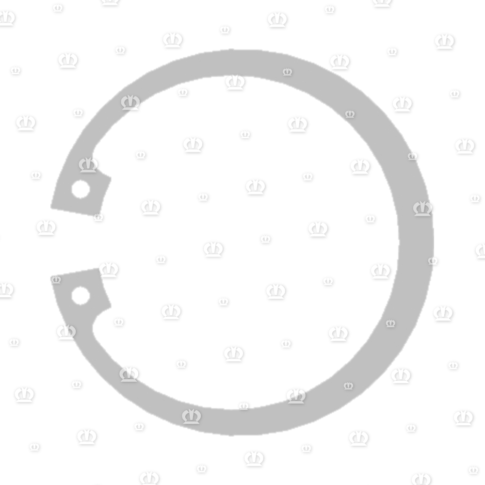 SEEGERRG. I 48X1,75 472