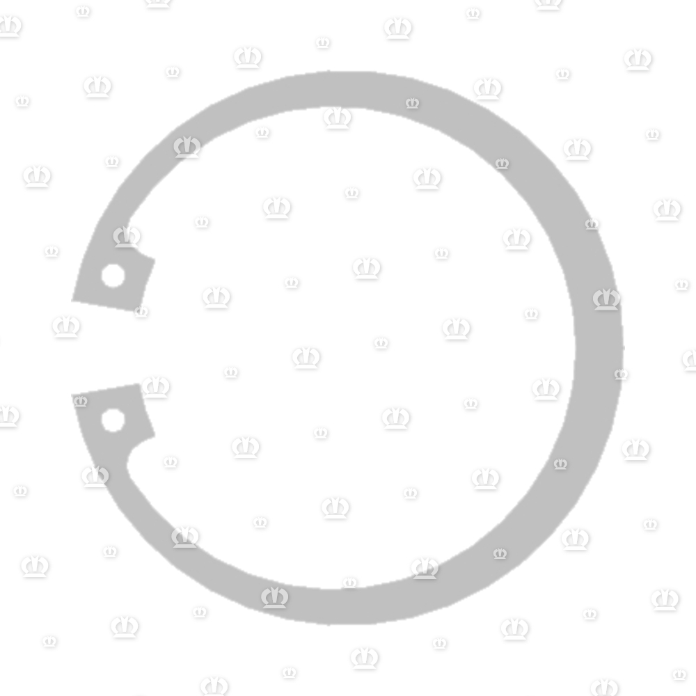 SEEGERRG. I 52X2,0 472
