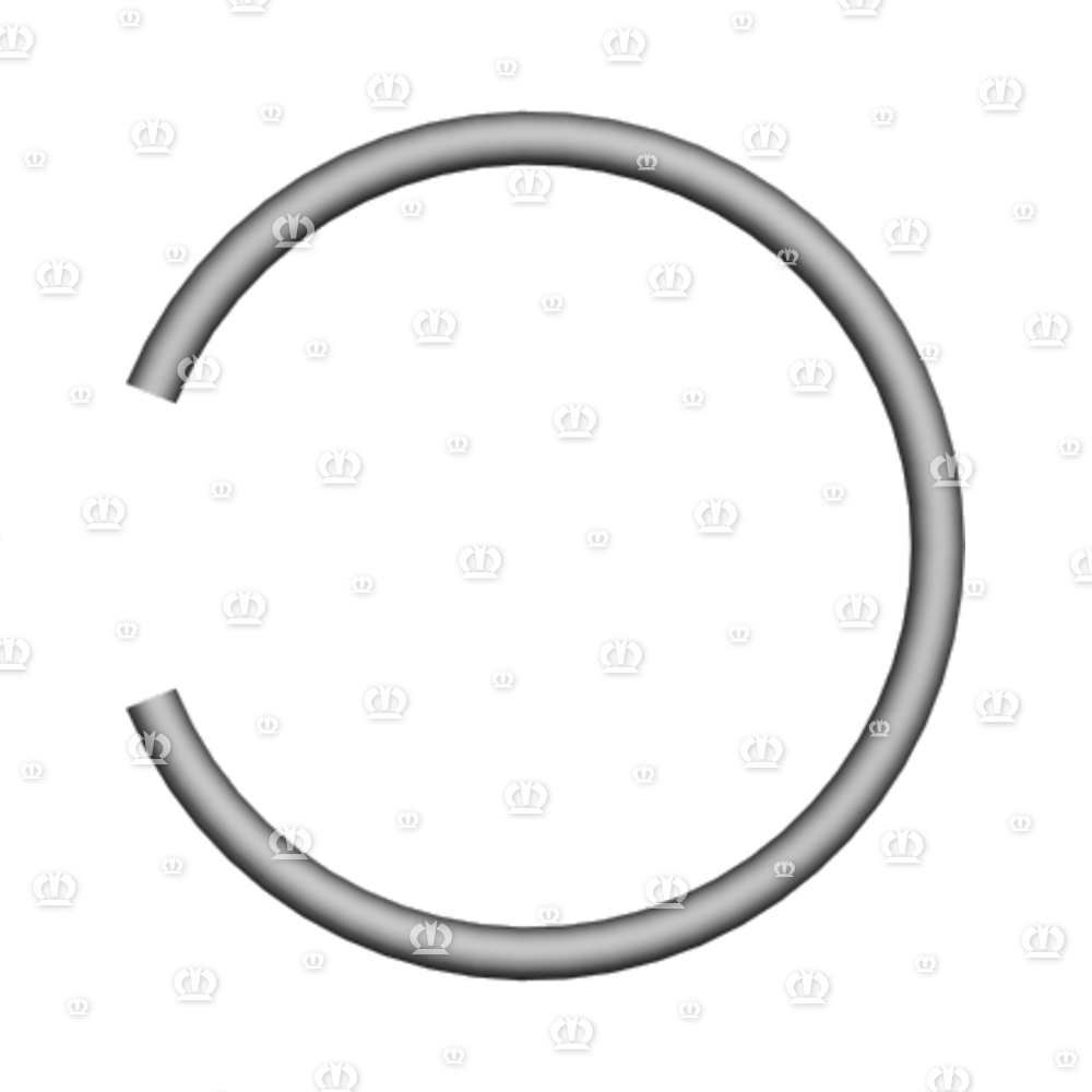 SPRENGRING B 55X3,2