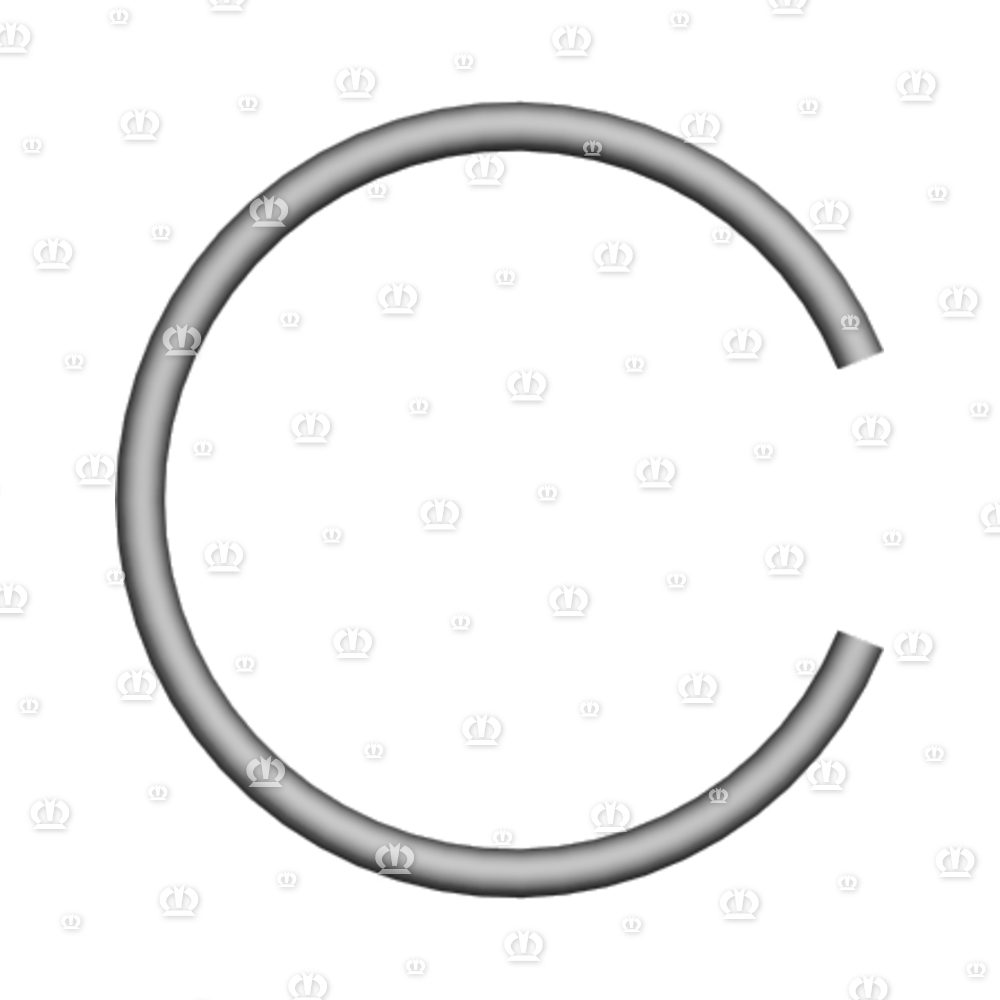 SPRENGRING B 55X3,2