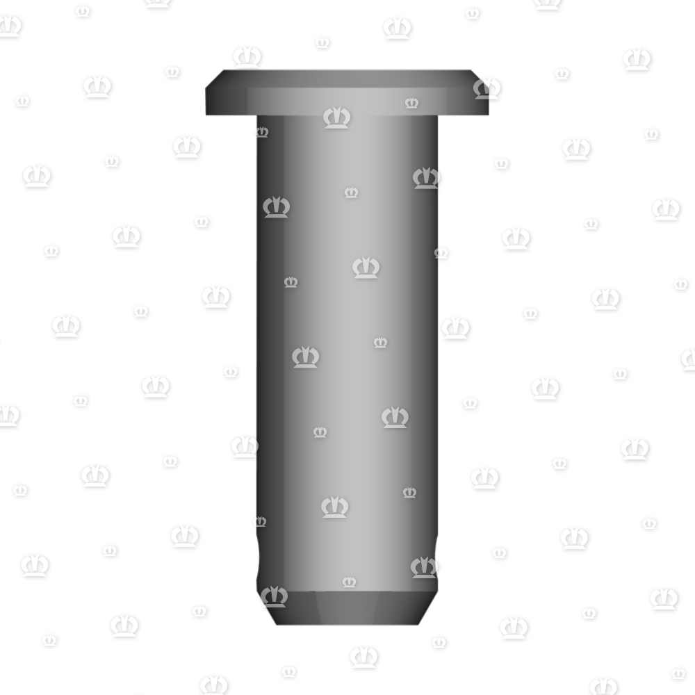 BOLZEN 16H11X45 KL.KOPF