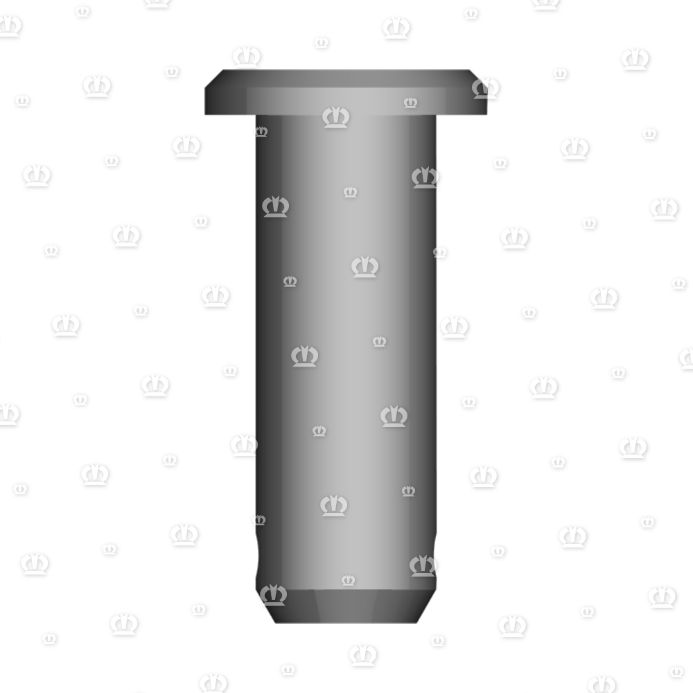 BOLZEN 16H11X45 KL.KOPF