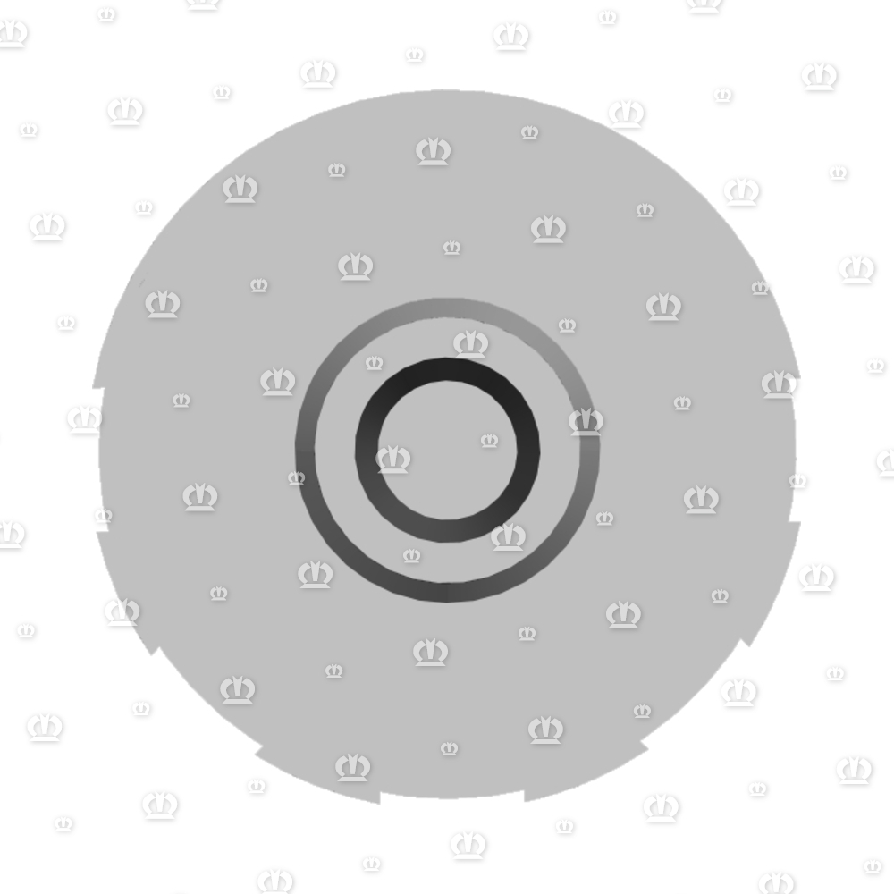 BELUEFTUNGSFILTER R 1/4