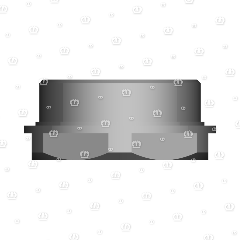 OELSCHAUGLAS M42X1,5