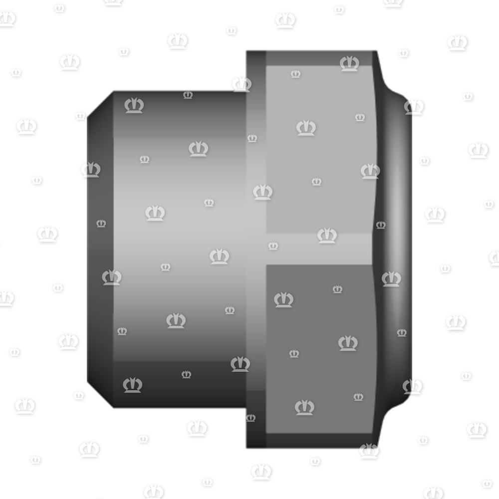 OELSCHAUGLAS M24X2 F.BYPY