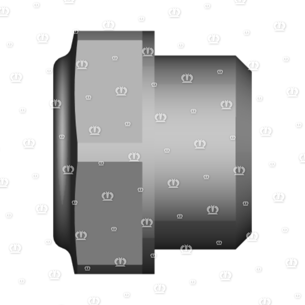 OELSCHAUGLAS M24X2 F.BYPY
