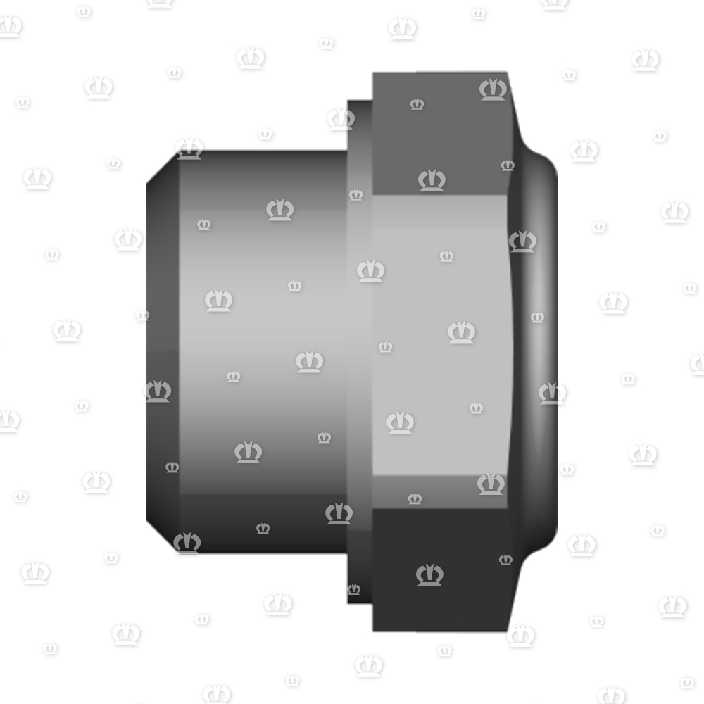 OELSCHAUGLAS M24X2 F.BYPY