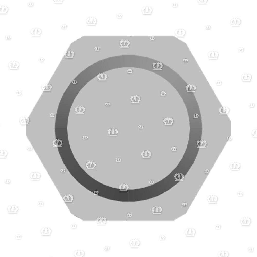 OELSCHAUGLAS M24X2 F.BYPY
