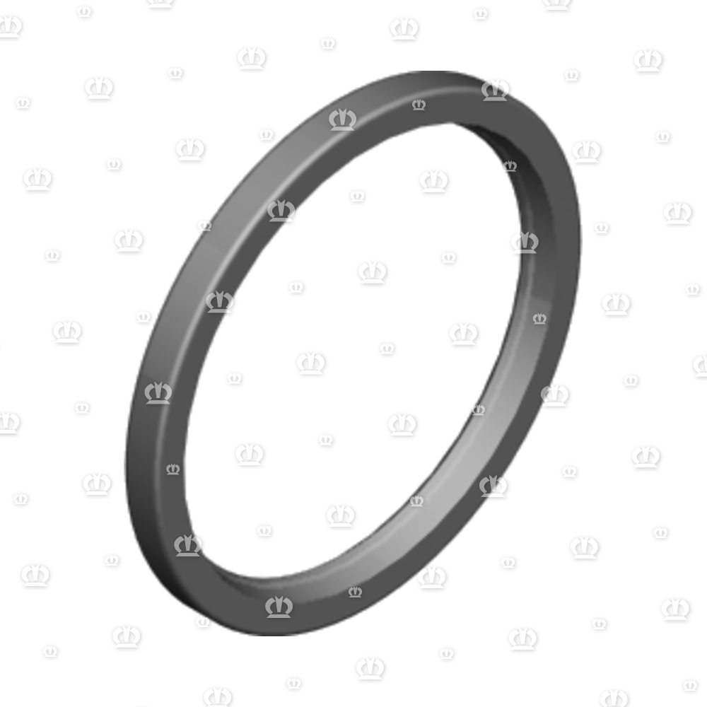 SI.RING 125X150X12 B2