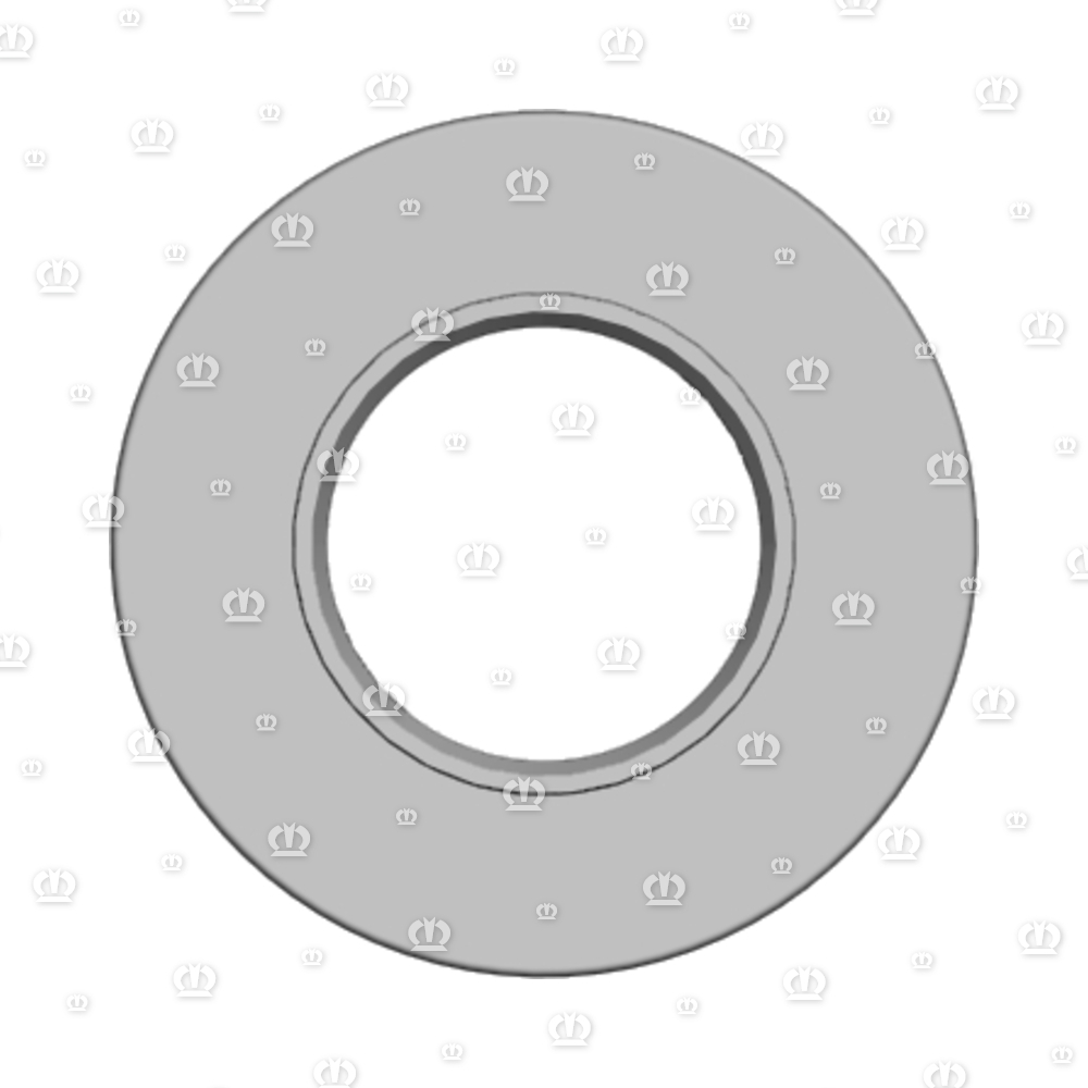 SI.RING 40X80X10 B2 VITON