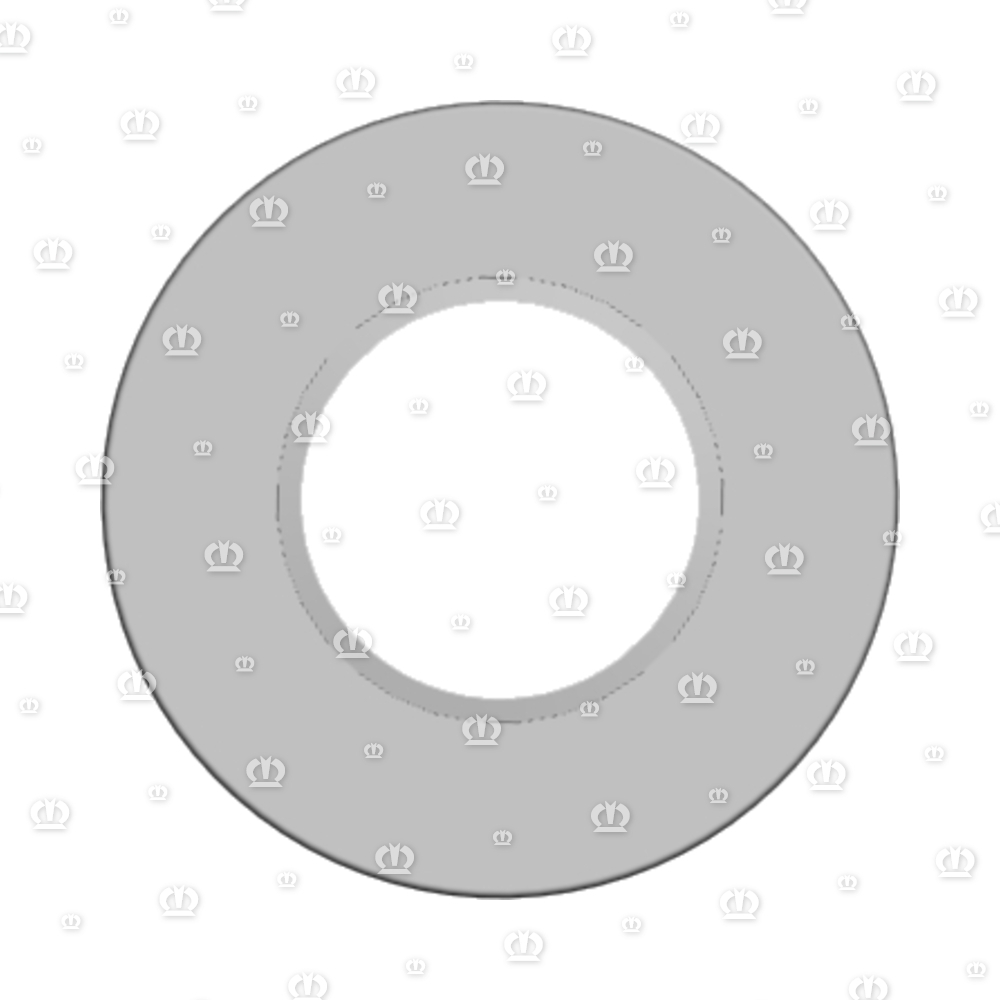 SI.RING 40X80X10 B2 VITON