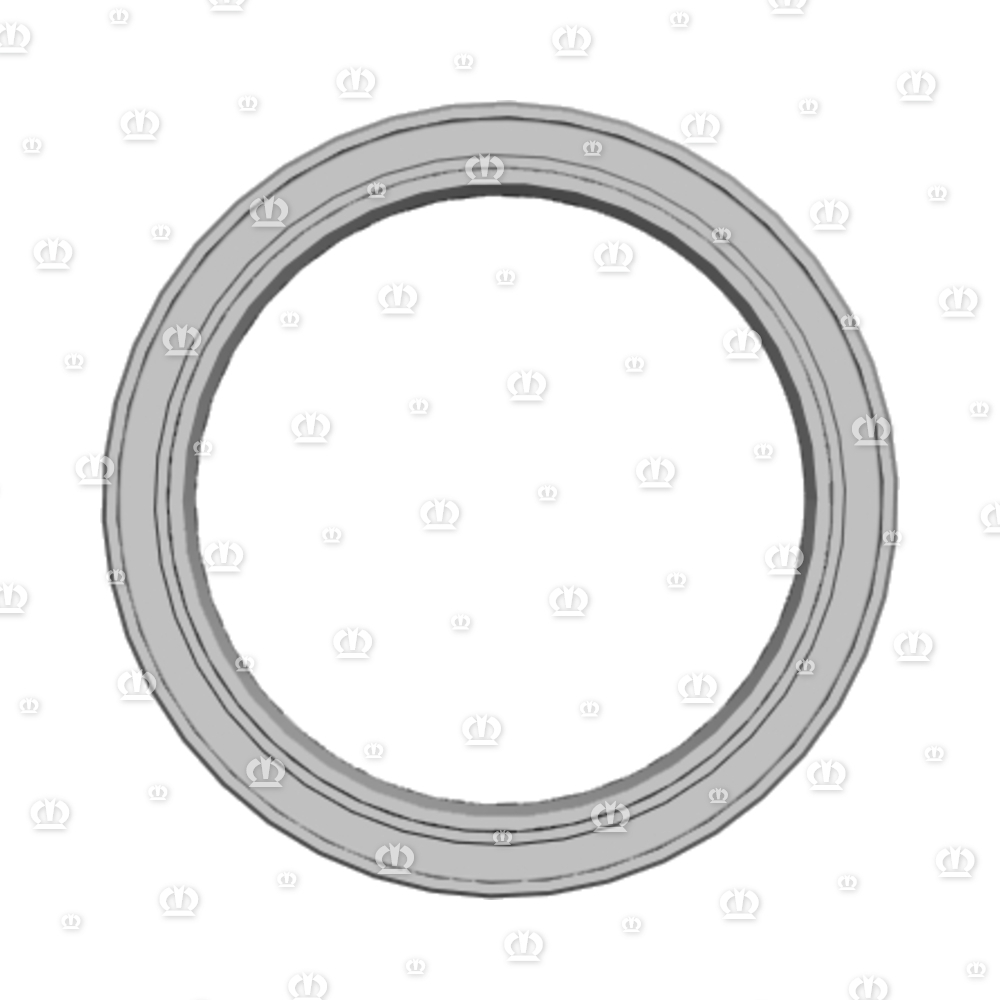 SI.RING AS 55X72X8