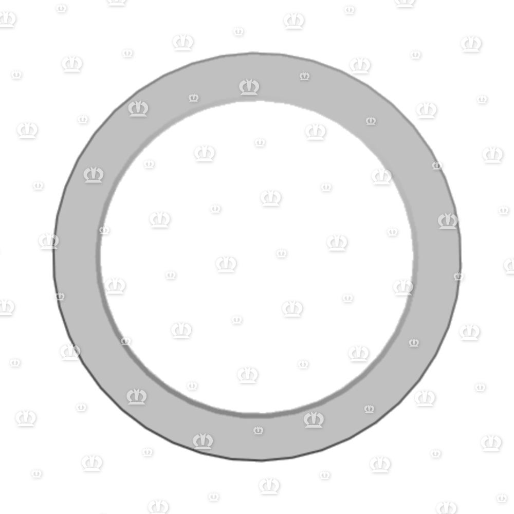SI.RING AS 55X72X8