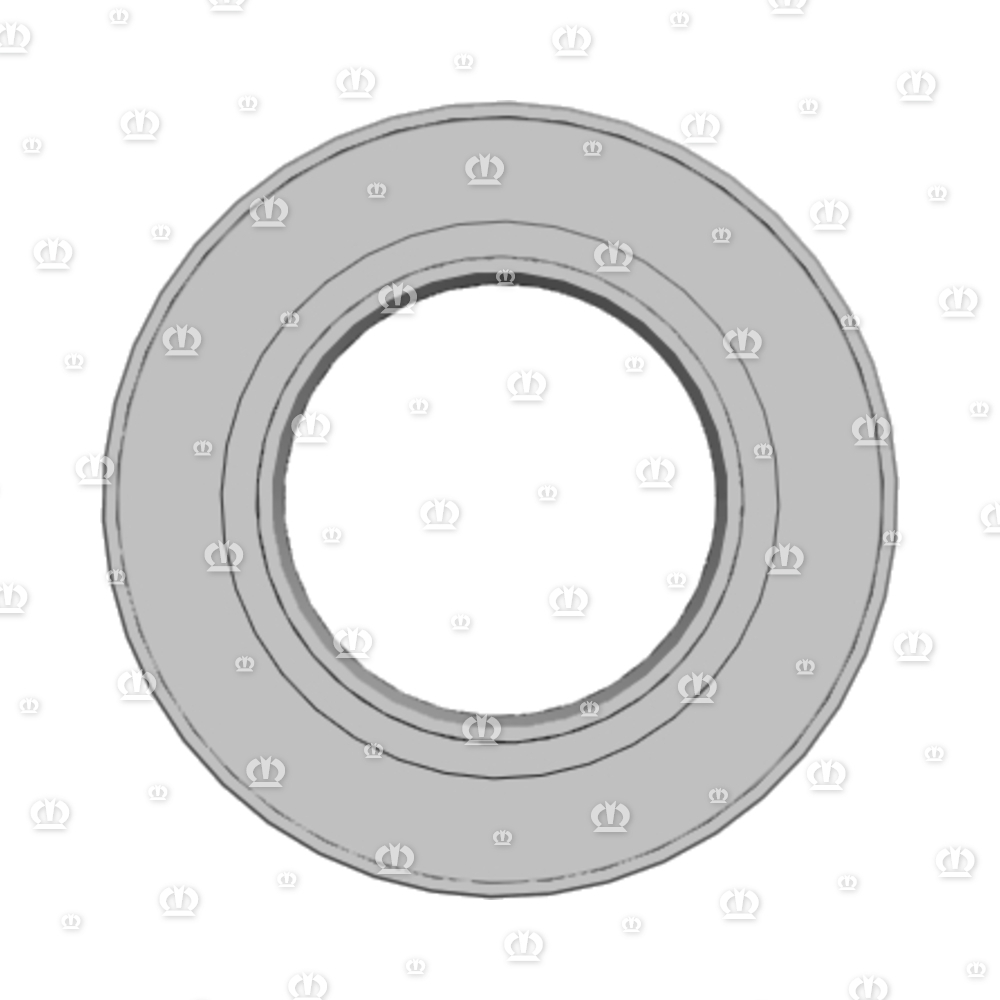 SI.RING AS 65X120X13