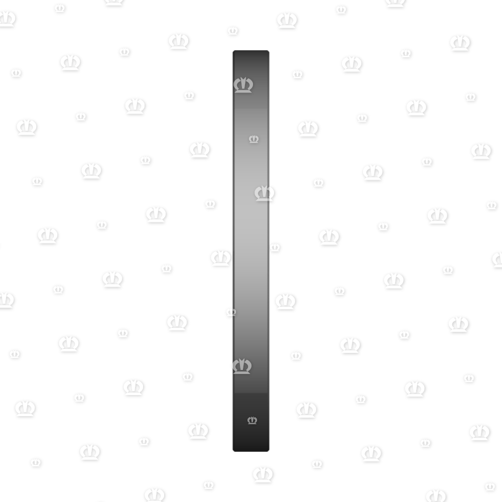 SI.RING A70X110X10