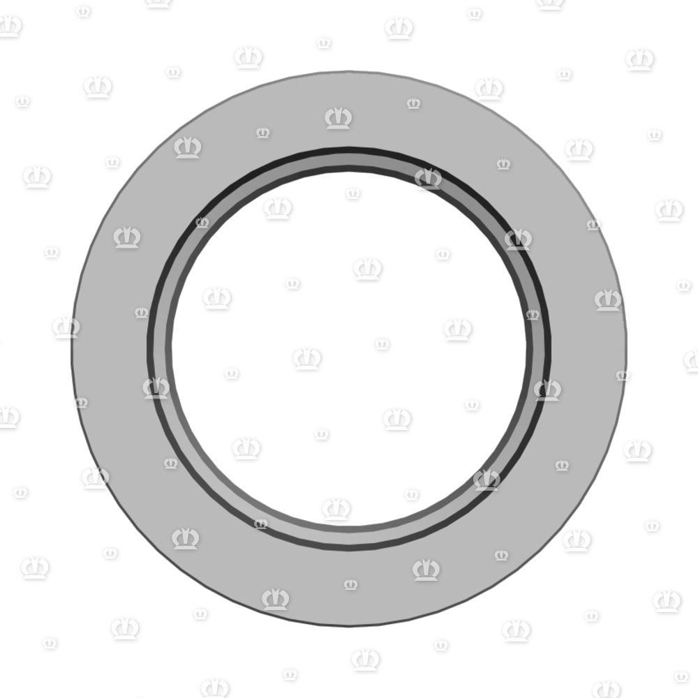 SI.RING A70X110X10