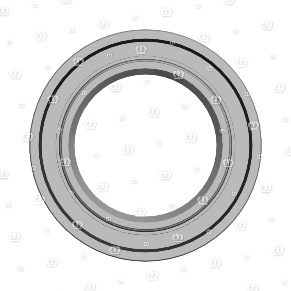 SI.RING 55X90X10 B2