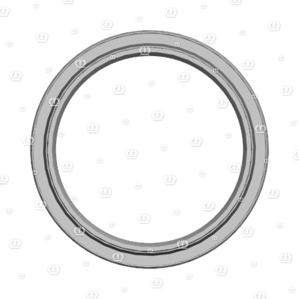 SI.RING 55X70X 8 B1