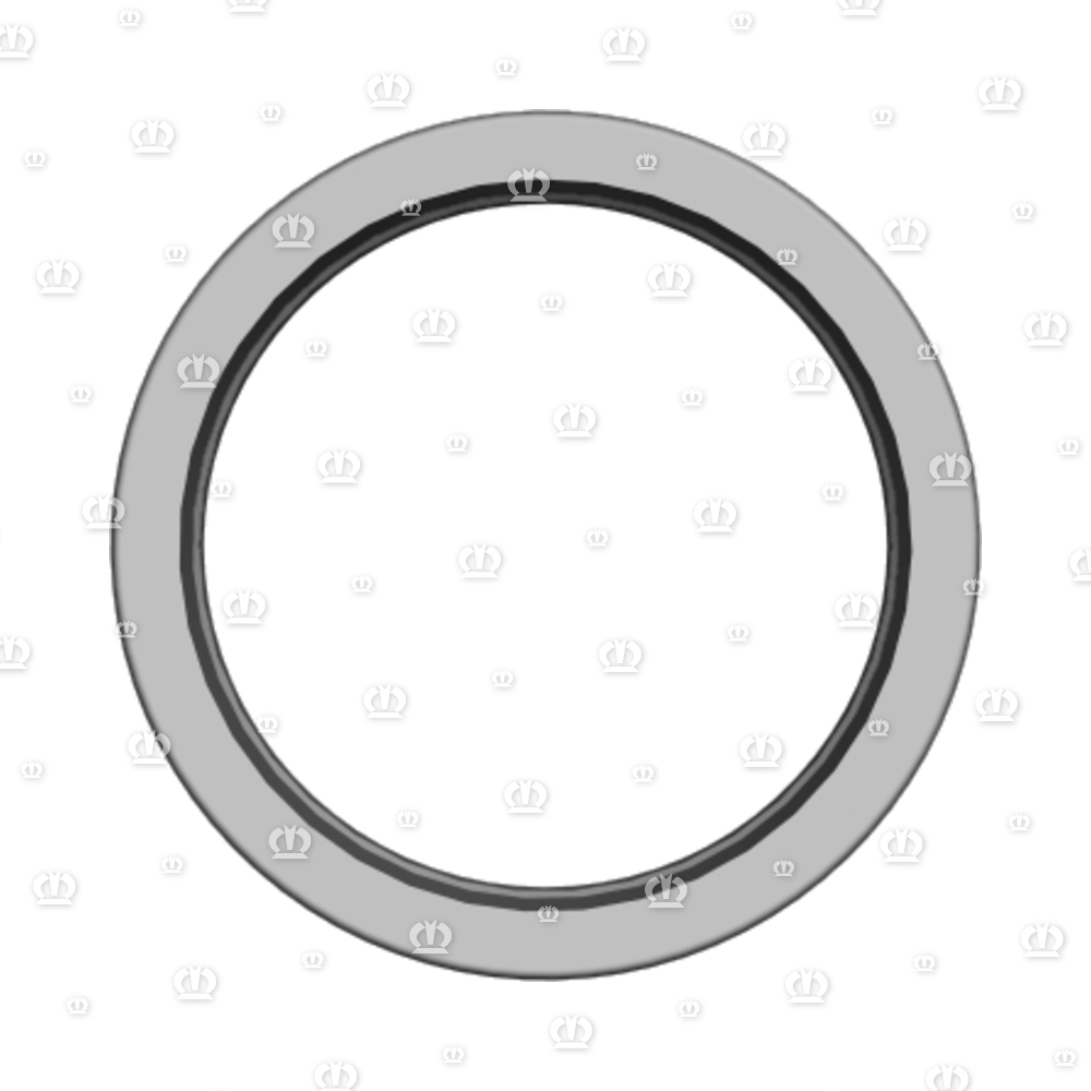 SI.RING 55X70X 8 B1