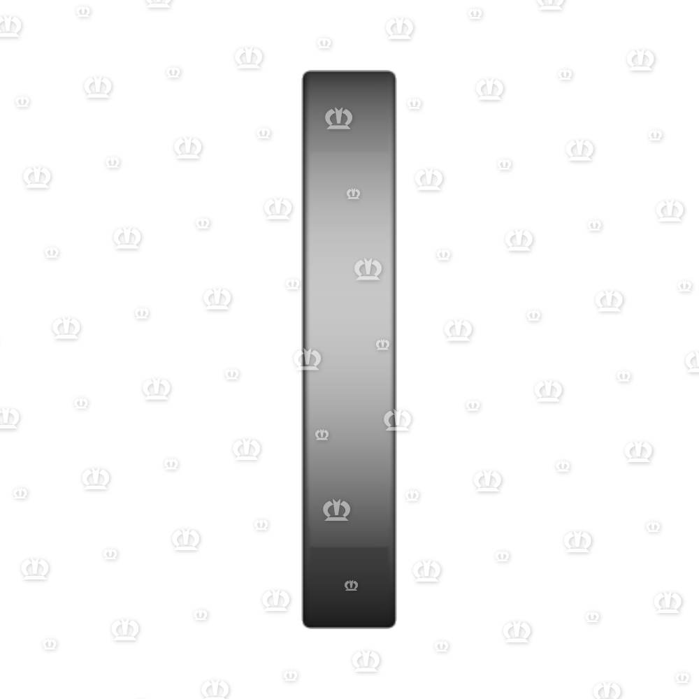 SI.RING 40X60X10 B2