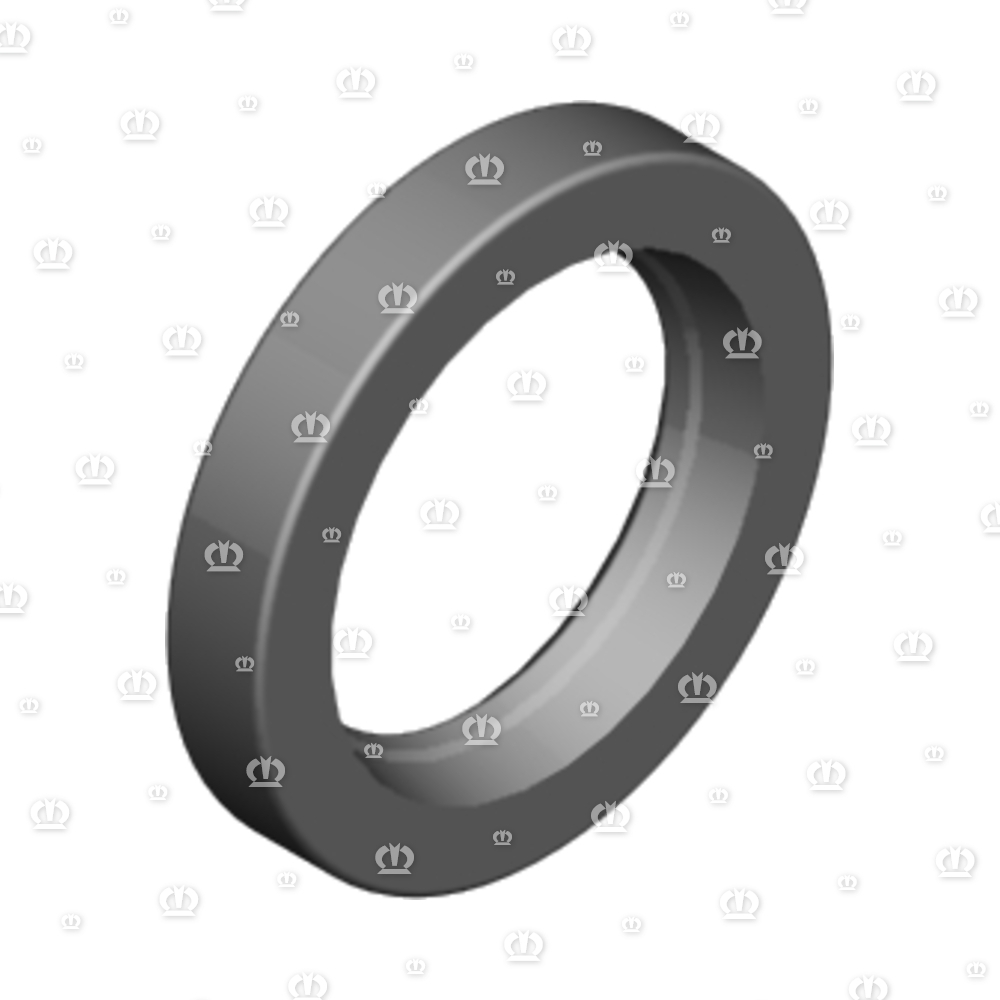 SI.RING 40X60X10 B2