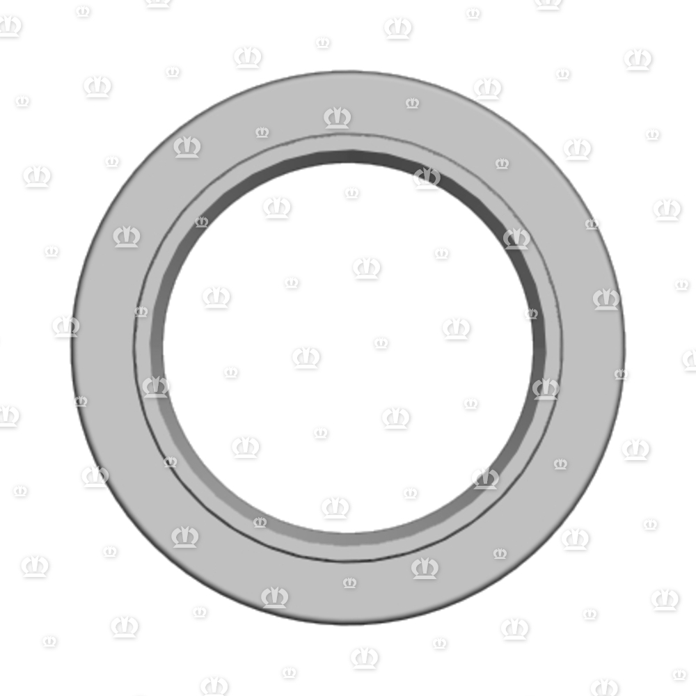 SI.RING 40X60X10 B2