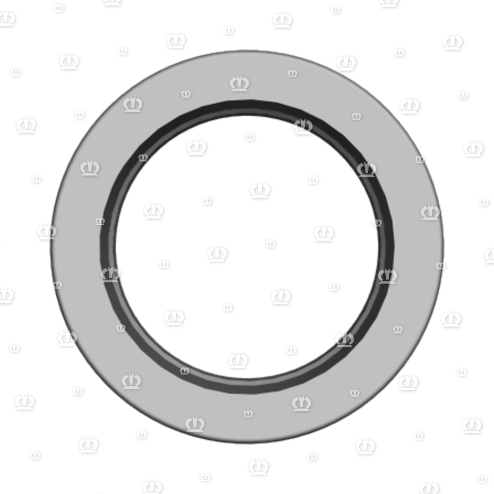 SI.RING 40X60X10 B2