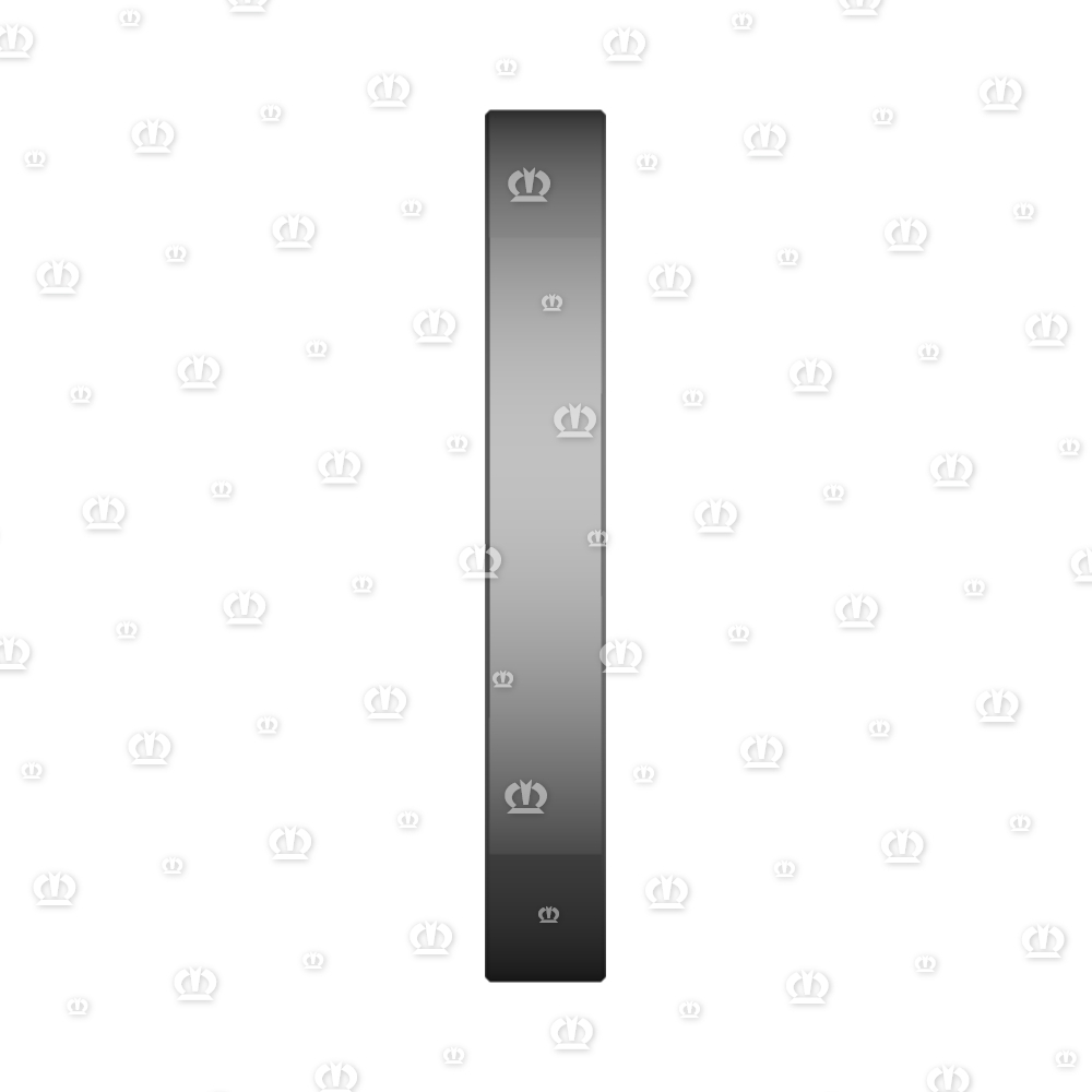 SI.RING 45X72X10 B2