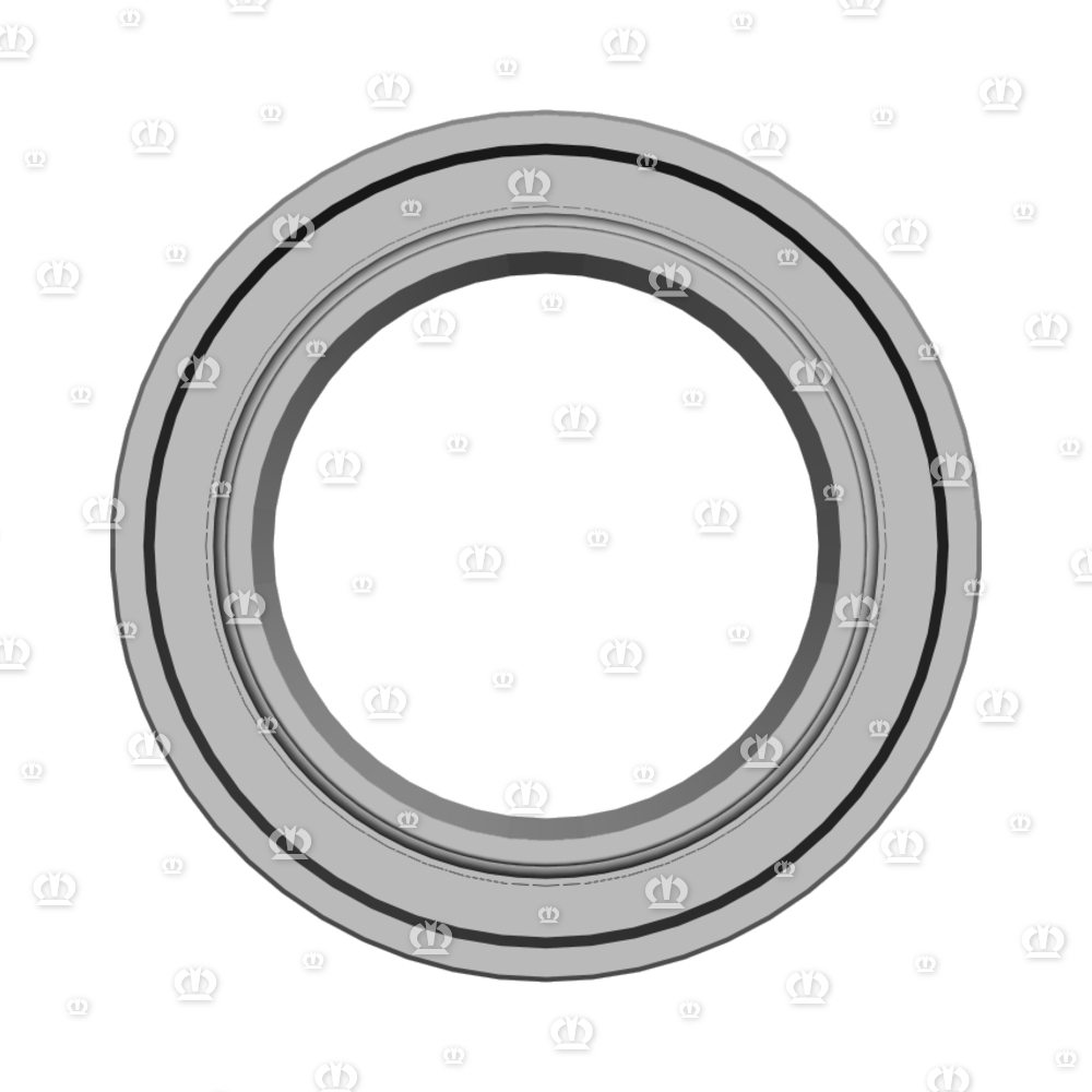 SI.RING 45X72X10 B2