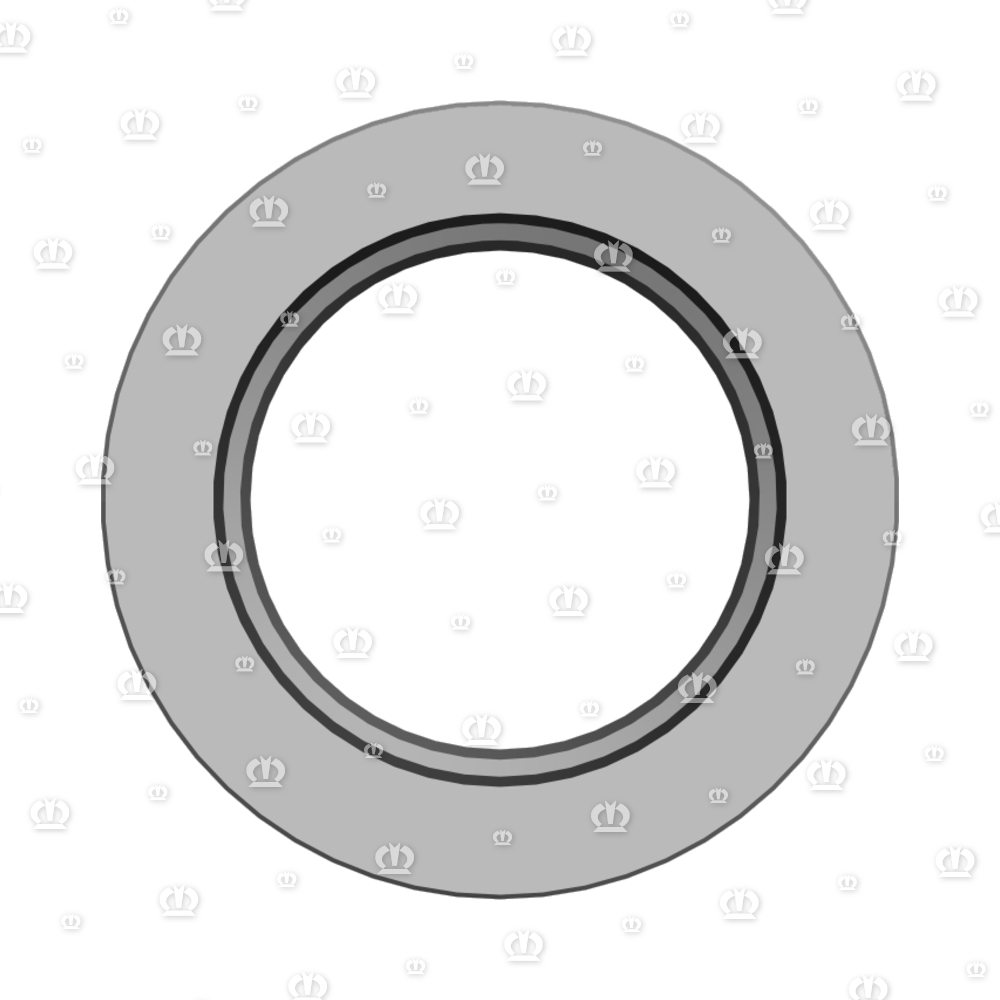 SI.RING 45X72X10 B2