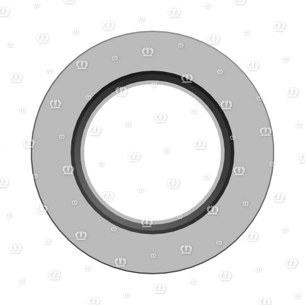 SI.RING 45X80X13 B2