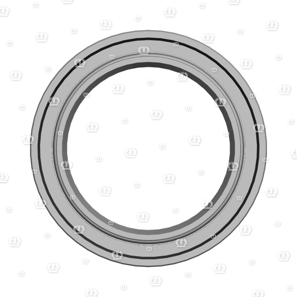 SI.RING 55X80X10 B2