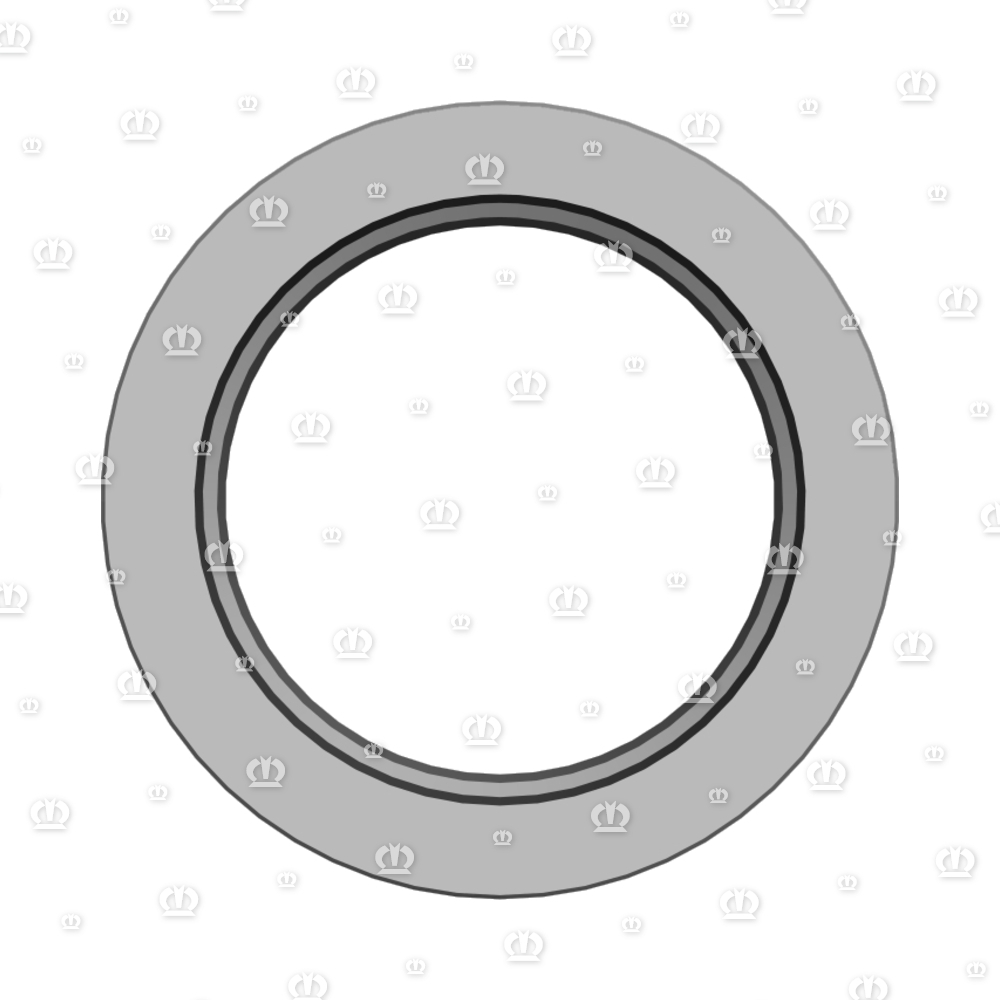 SI.RING 55X80X10 B2