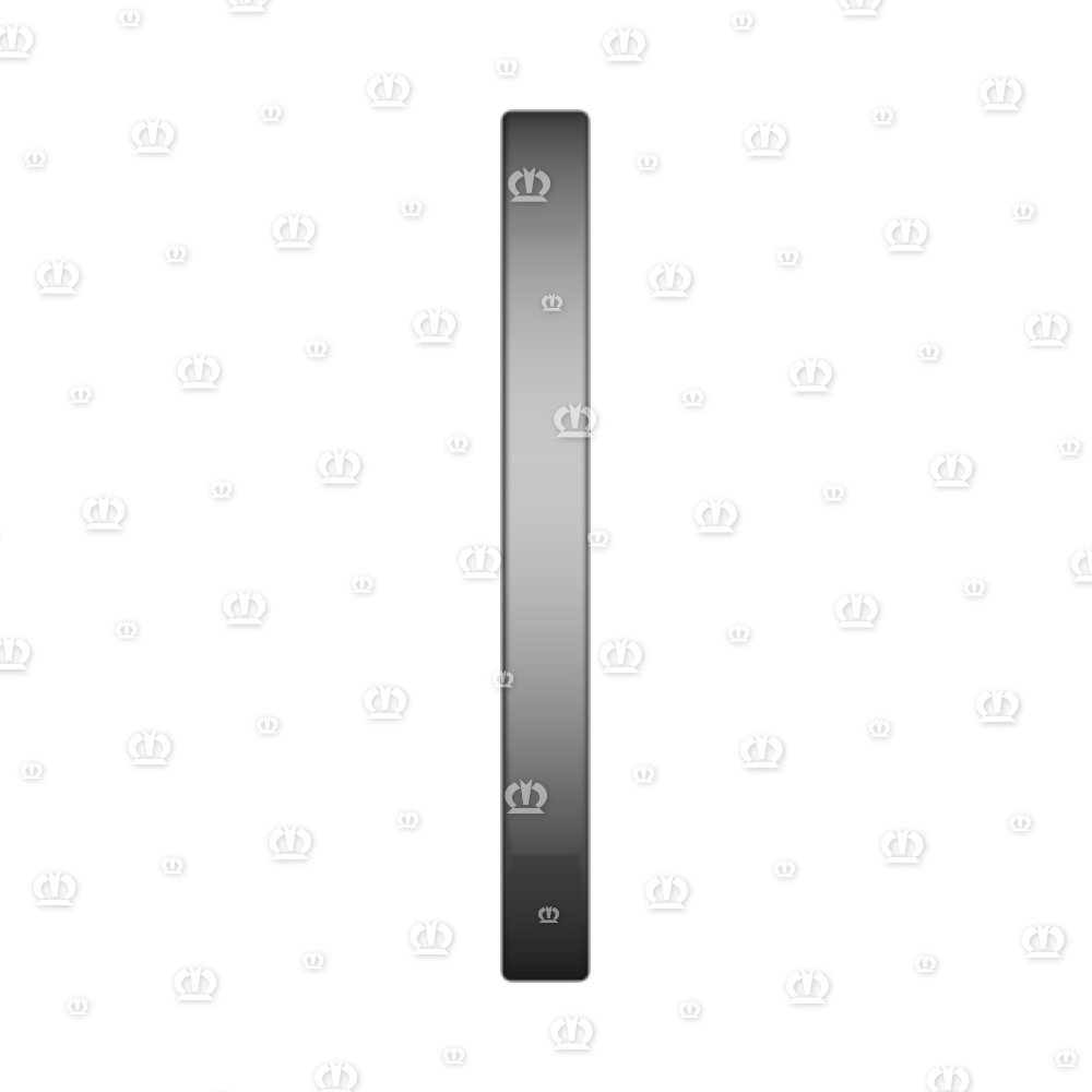 SI.RING 65X100X10 B2