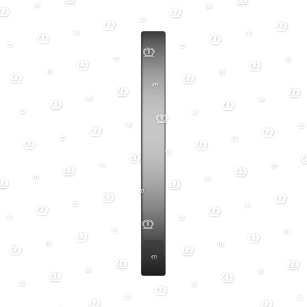 SI.RING 65X100X10 B2