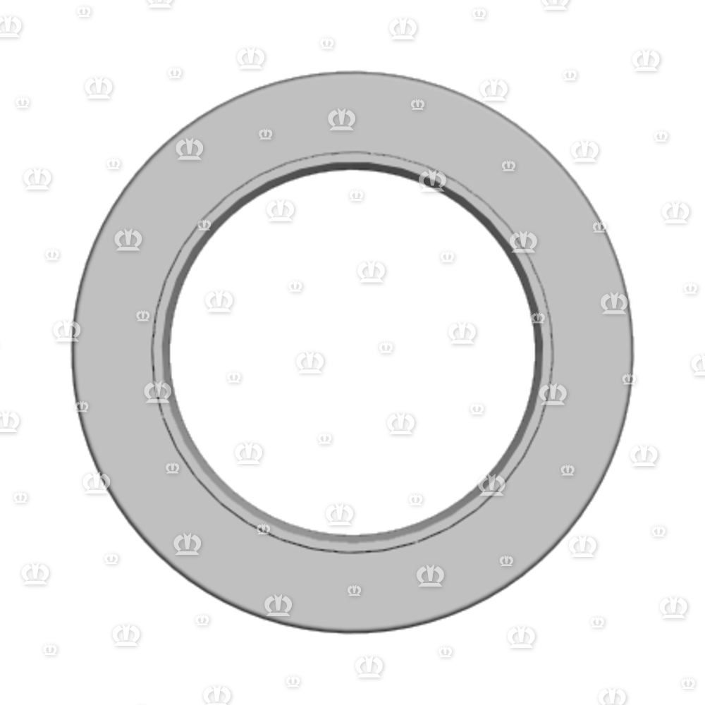 SI.RING 65X100X10 B2