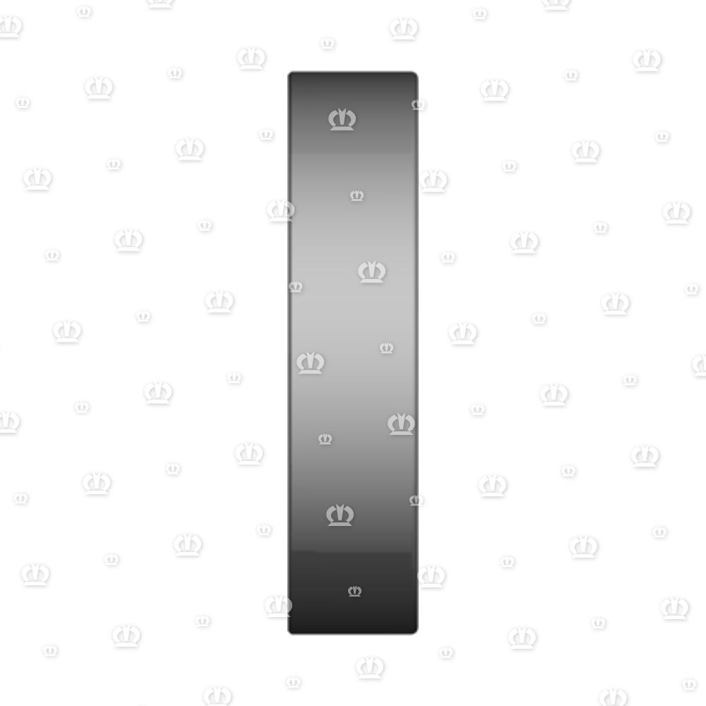 SI.RING 25X52X12 B1SL