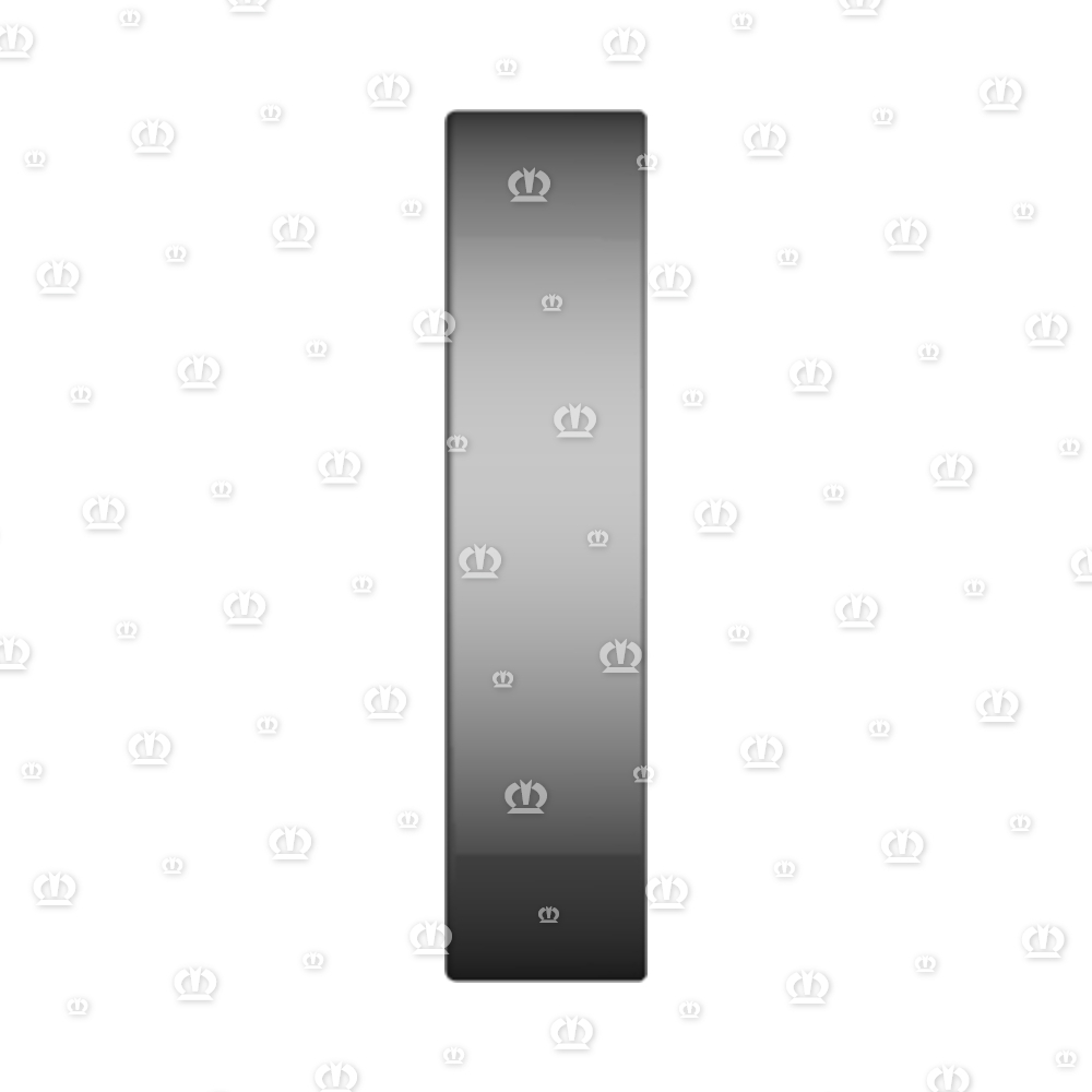 SI.RING 25X52X12 B1SL