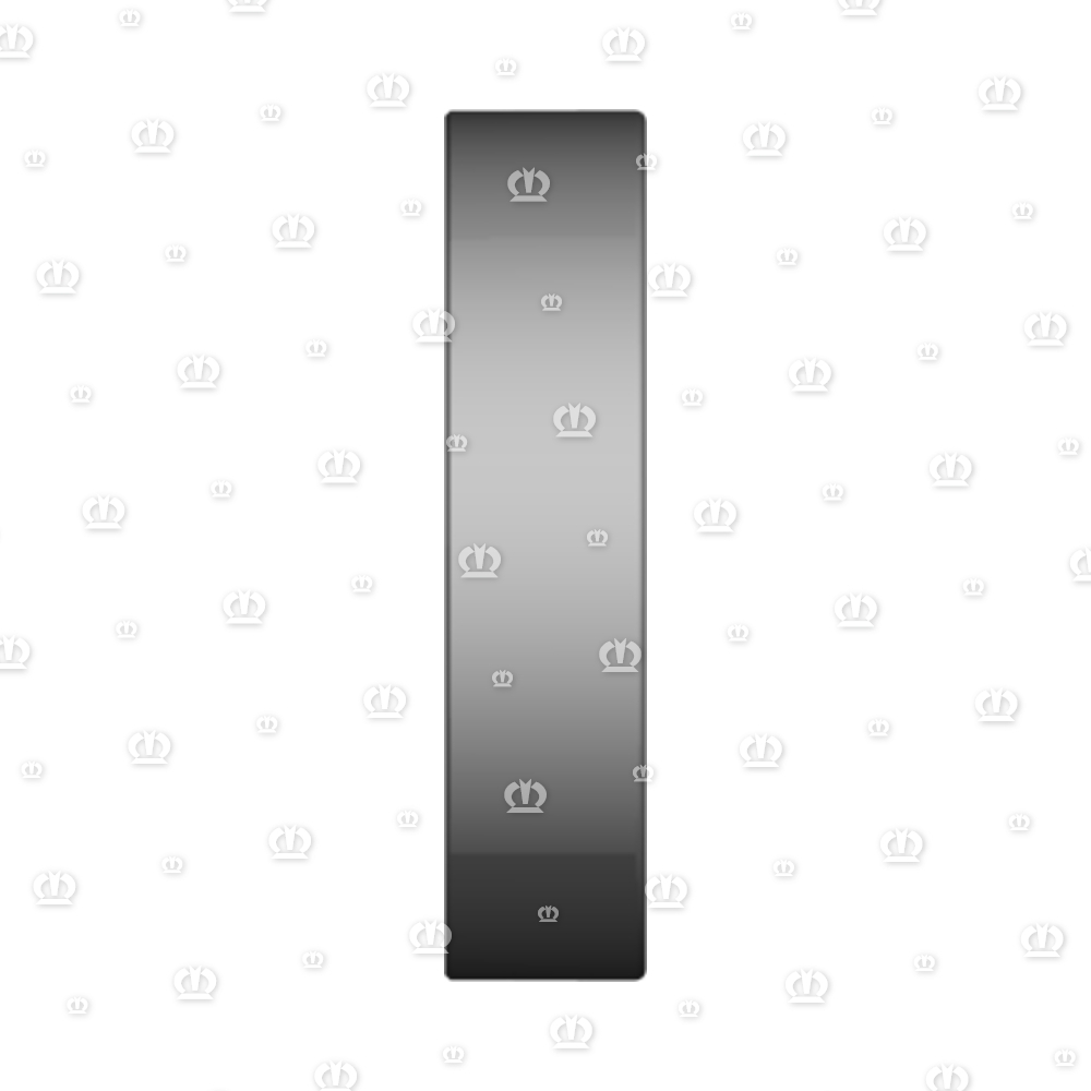 SI.RING 25X52X12 B1SL
