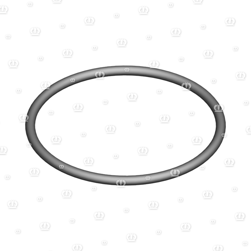 O-RING OR 55,2-3