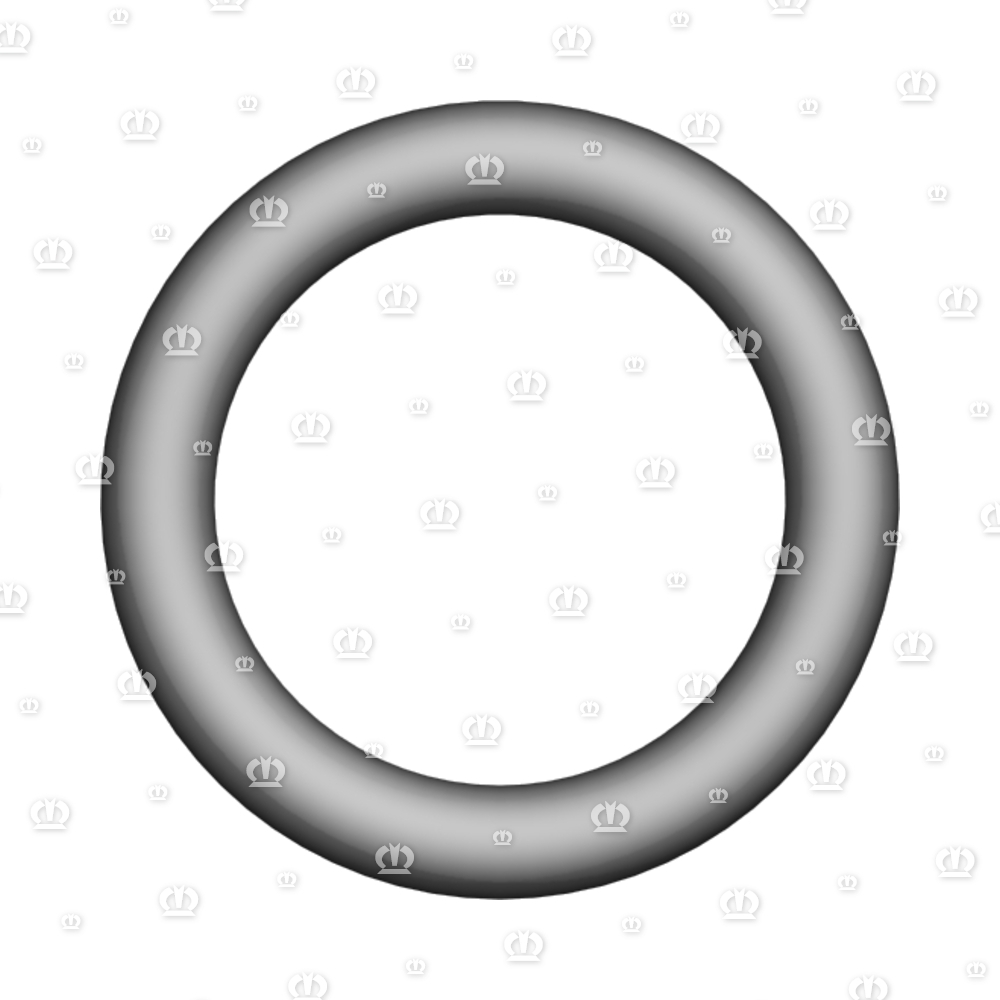O-RING 0R 25-5 70NBR
