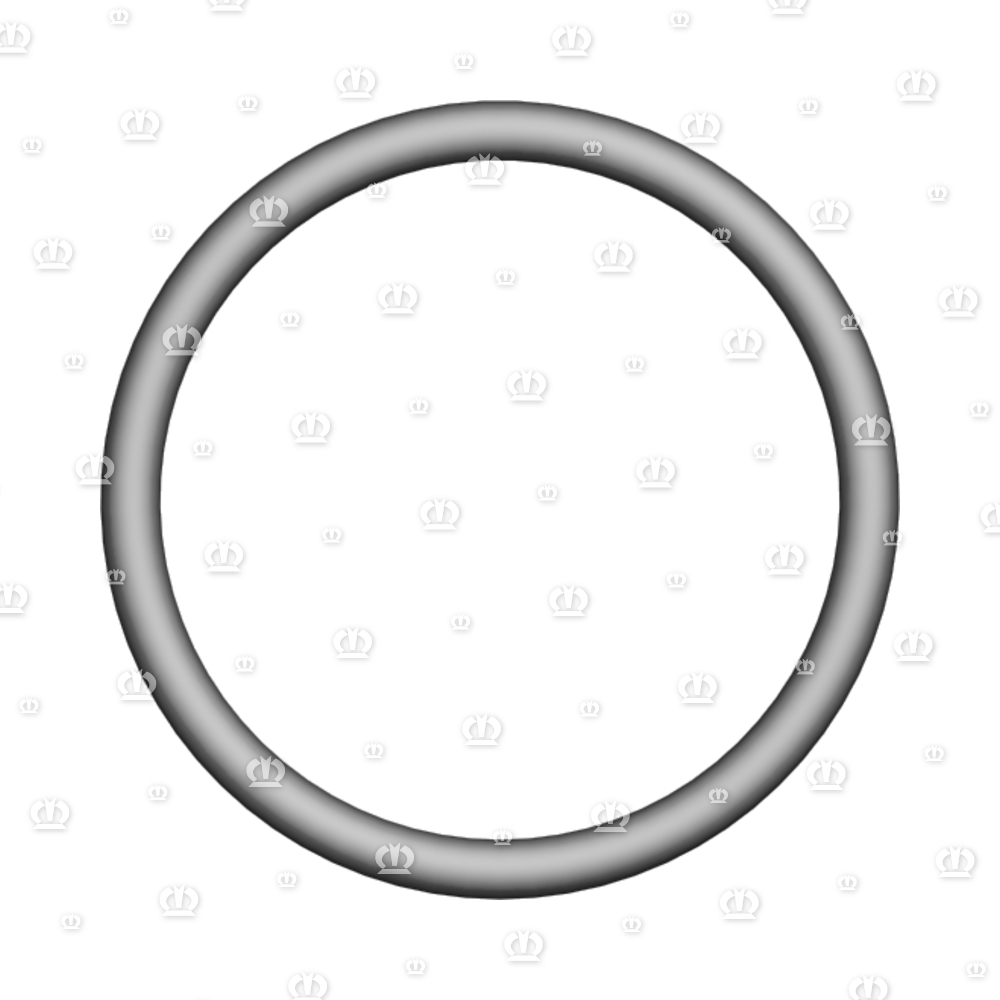 O-RING OR 29,82X2,62