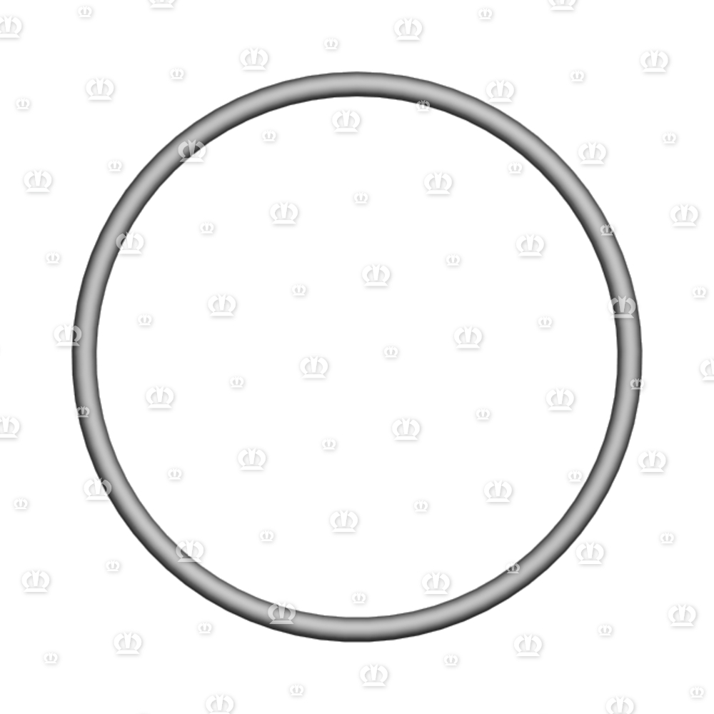 O-RING OR 42-2