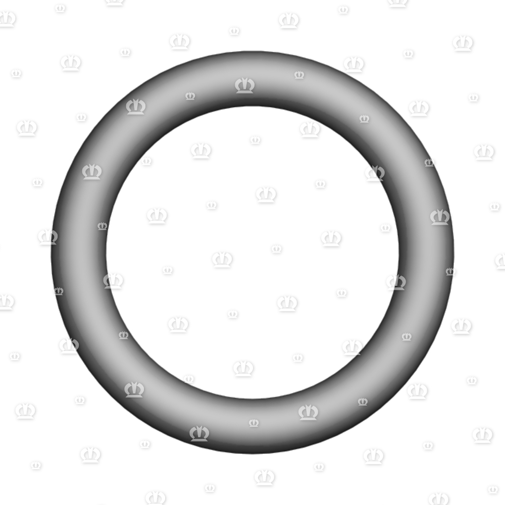 O-RING OR 18,66X3,53