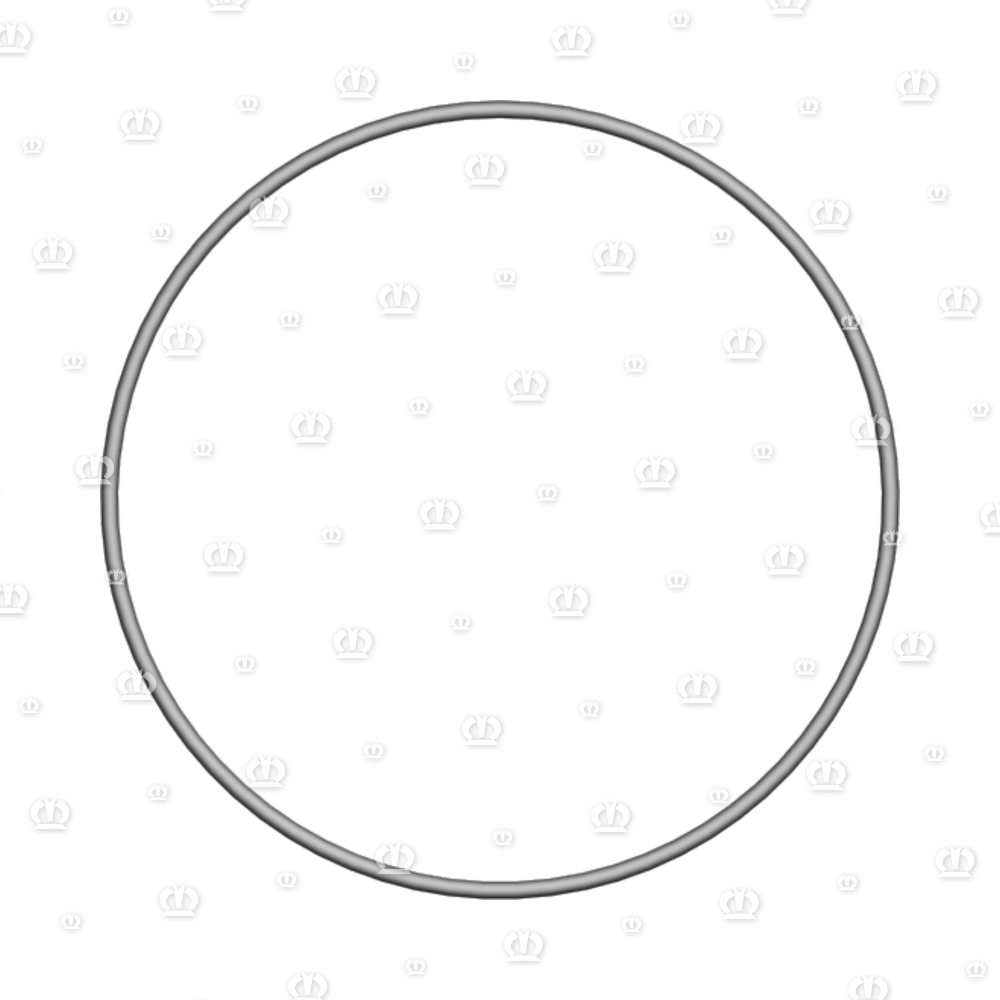 O-RING 0R 174-4