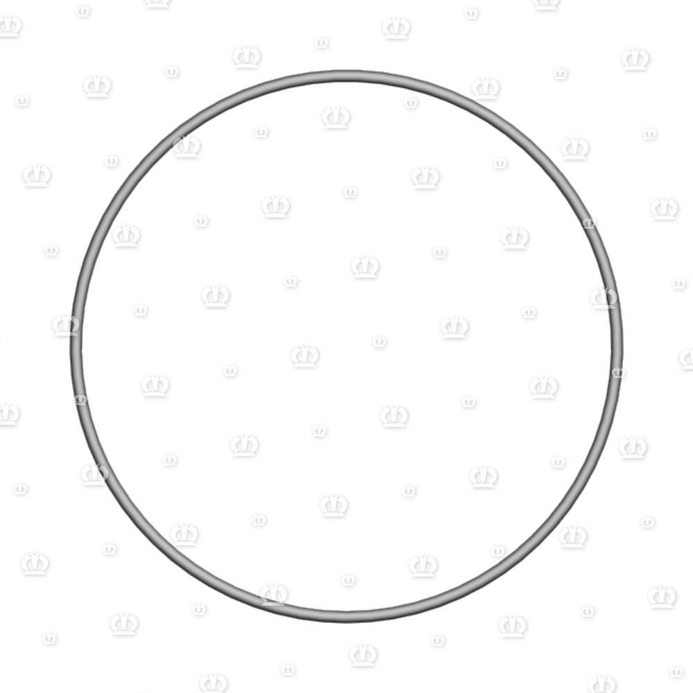 O-RING 0R 174-4